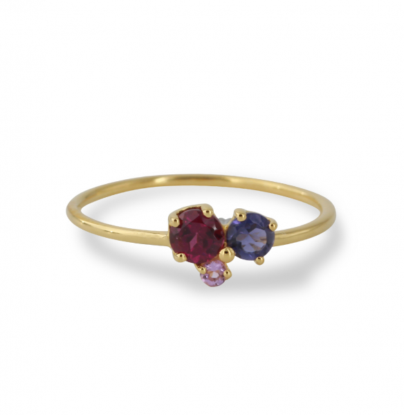 Silberring vergoldet mit Amethyst, Rhodolith und Iolith